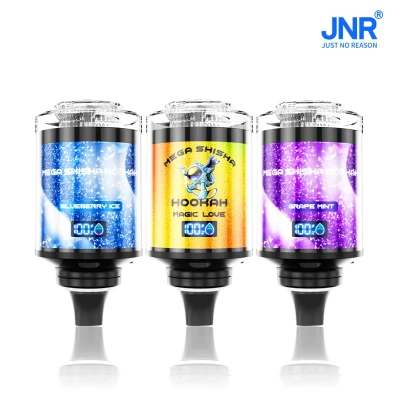 JNR Mega Shisha Hookah 100K Disposable Vape-Grape Mint